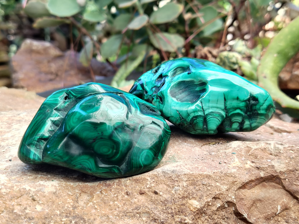 Polished Flower Banded Malachite Free Forms x 6 From Congo - Toprock Gemstones and Minerals 