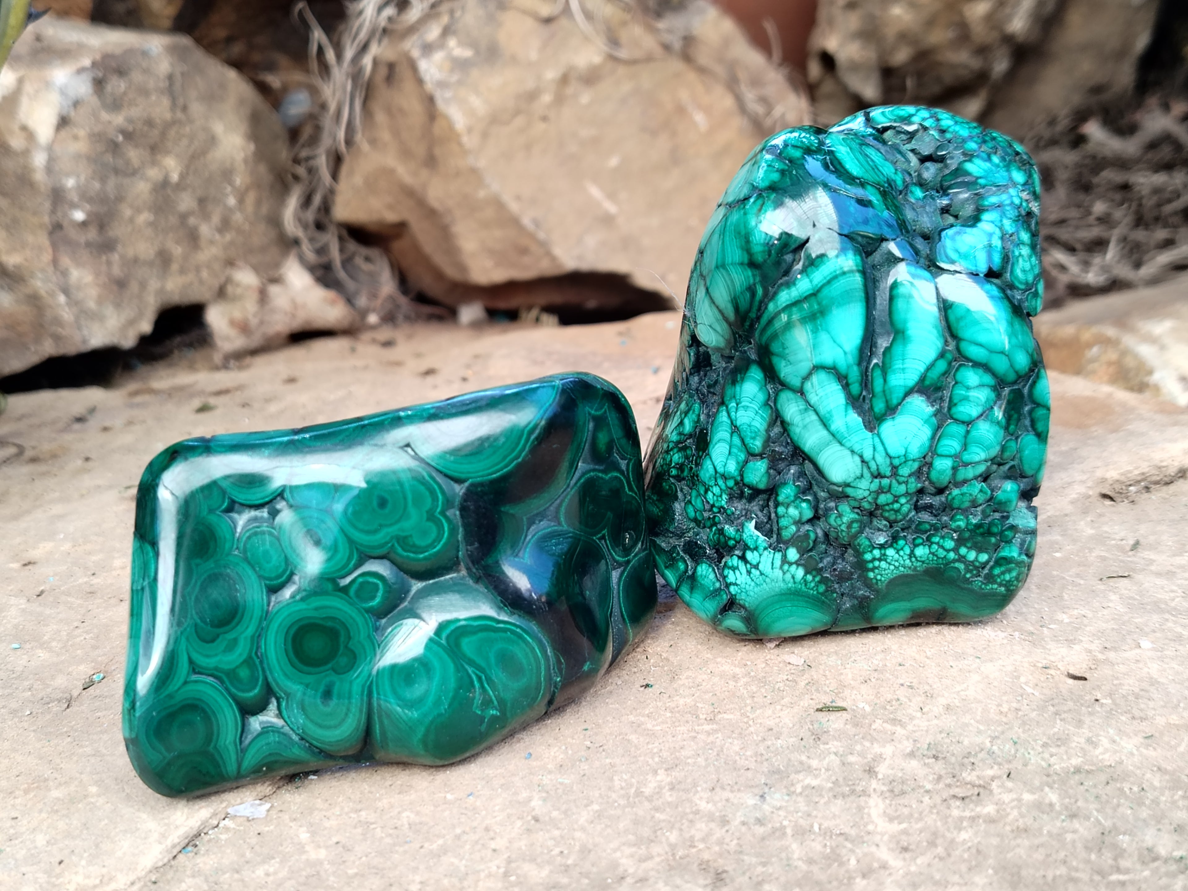 Polished Flower Banded Malachite Free Forms x 6 From Congo - Toprock Gemstones and Minerals 