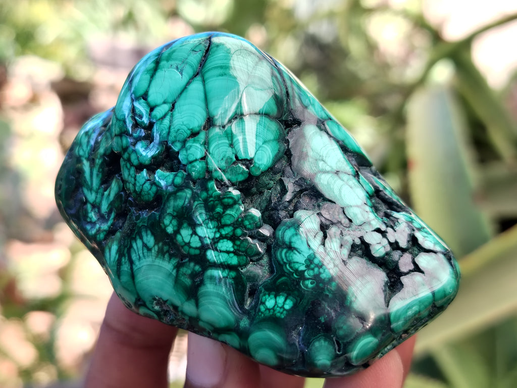 Polished Flower Banded Malachite Free Forms x 6 From Congo - Toprock Gemstones and Minerals 