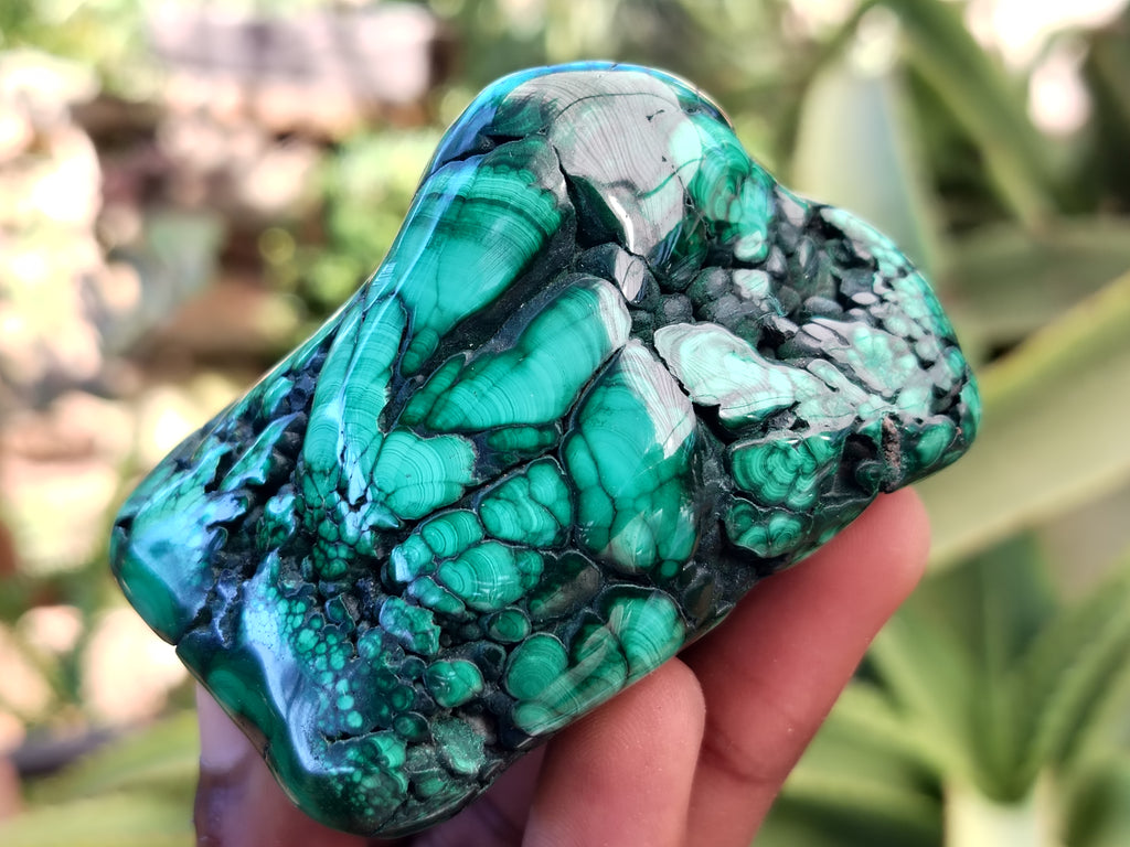 Polished Flower Banded Malachite Free Forms x 6 From Congo - Toprock Gemstones and Minerals 