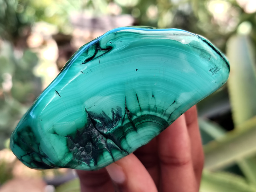 Polished Flower Banded Malachite Free Forms x 6 From Congo - Toprock Gemstones and Minerals 