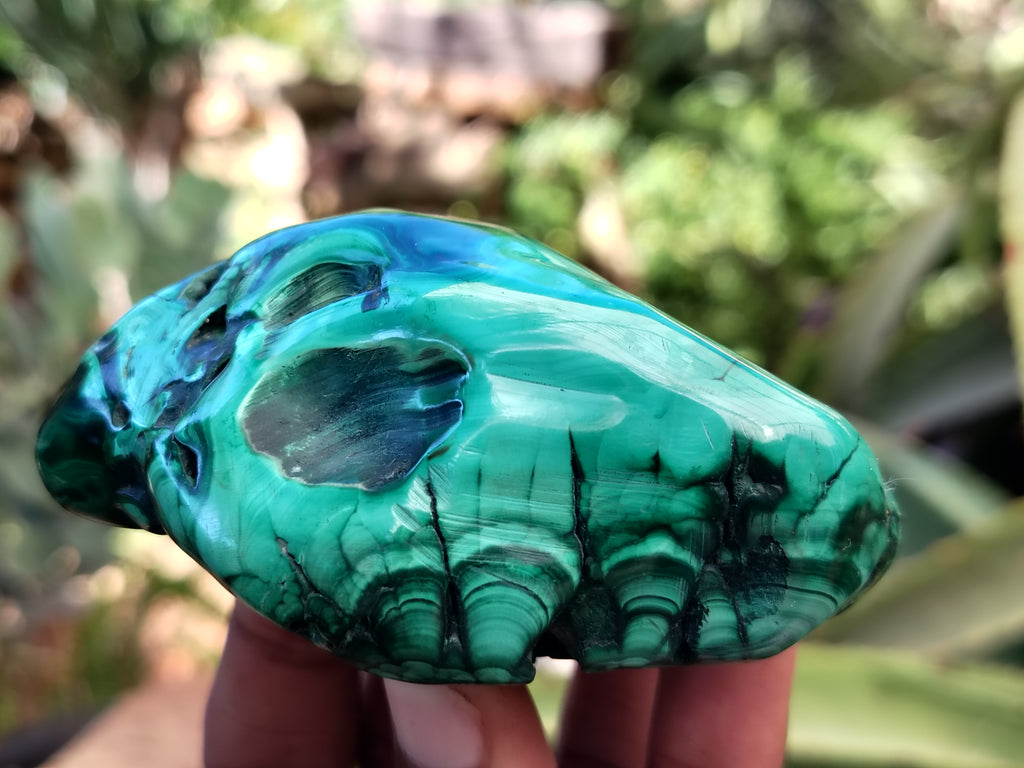 Polished Flower Banded Malachite Free Forms x 6 From Congo - Toprock Gemstones and Minerals 