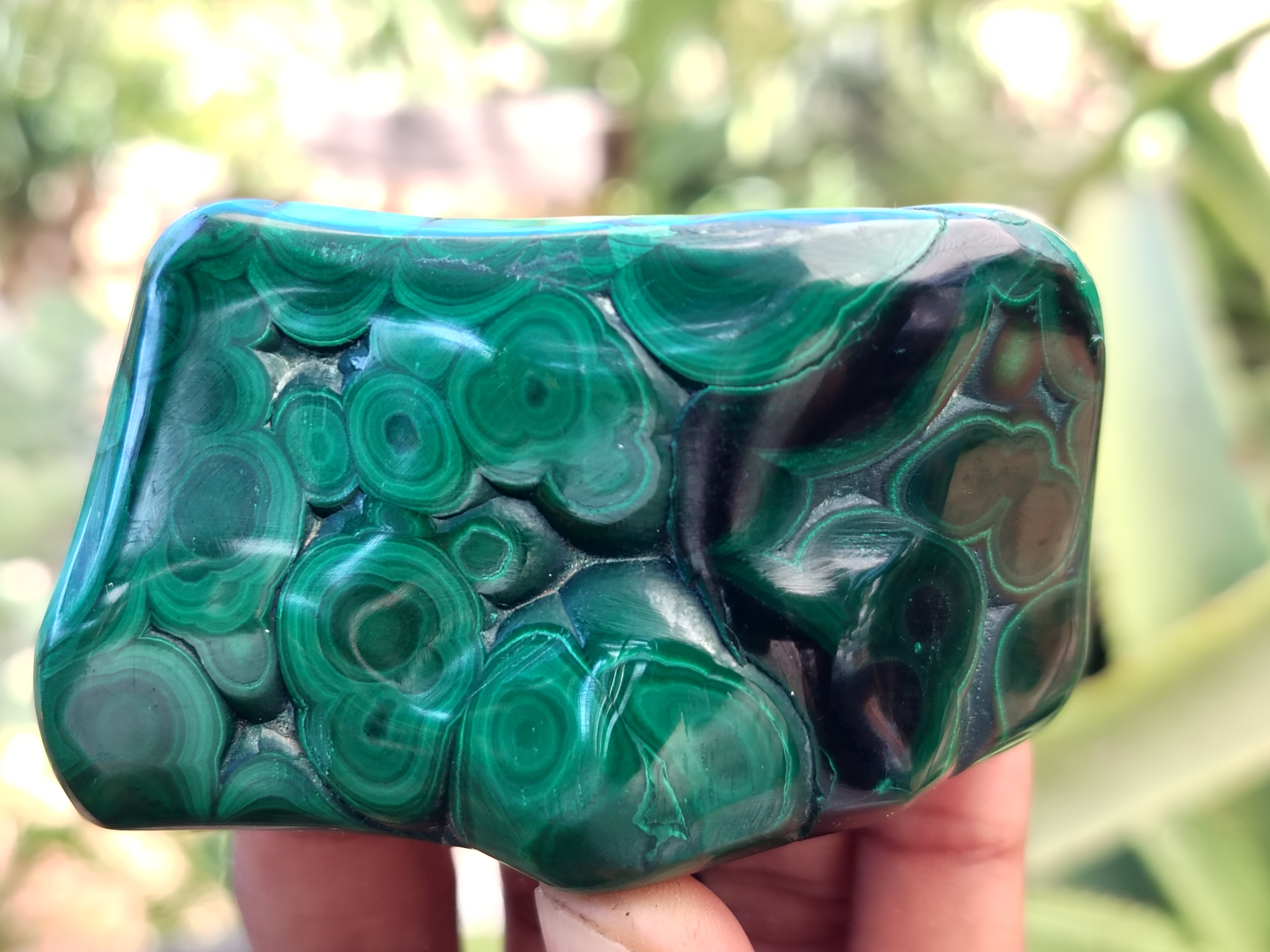 Polished Flower Banded Malachite Free Forms x 6 From Congo - Toprock Gemstones and Minerals 