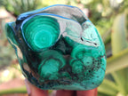 Polished Flower Banded Malachite Free Forms x 6 From Congo - Toprock Gemstones and Minerals 