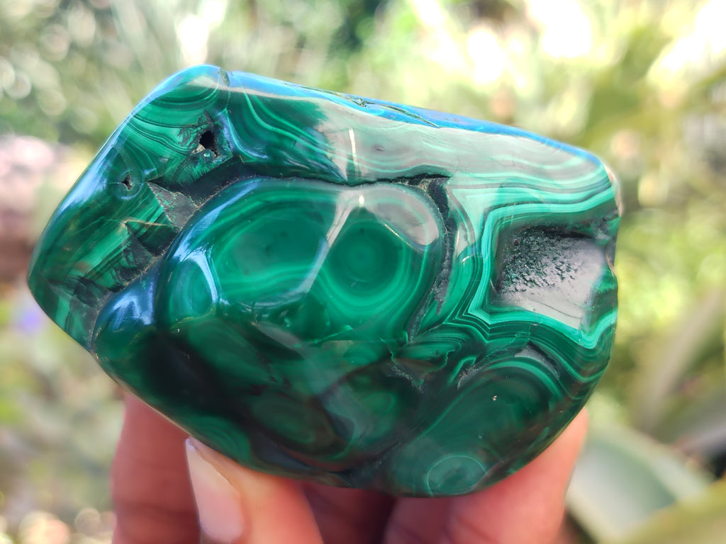 Polished Flower Banded Malachite Free Forms x 6 From Congo - Toprock Gemstones and Minerals 