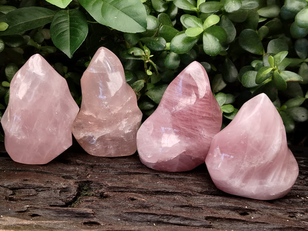 Polished Rose Quartz Flames x 4 From Ambatondrazaka, Madagascar
