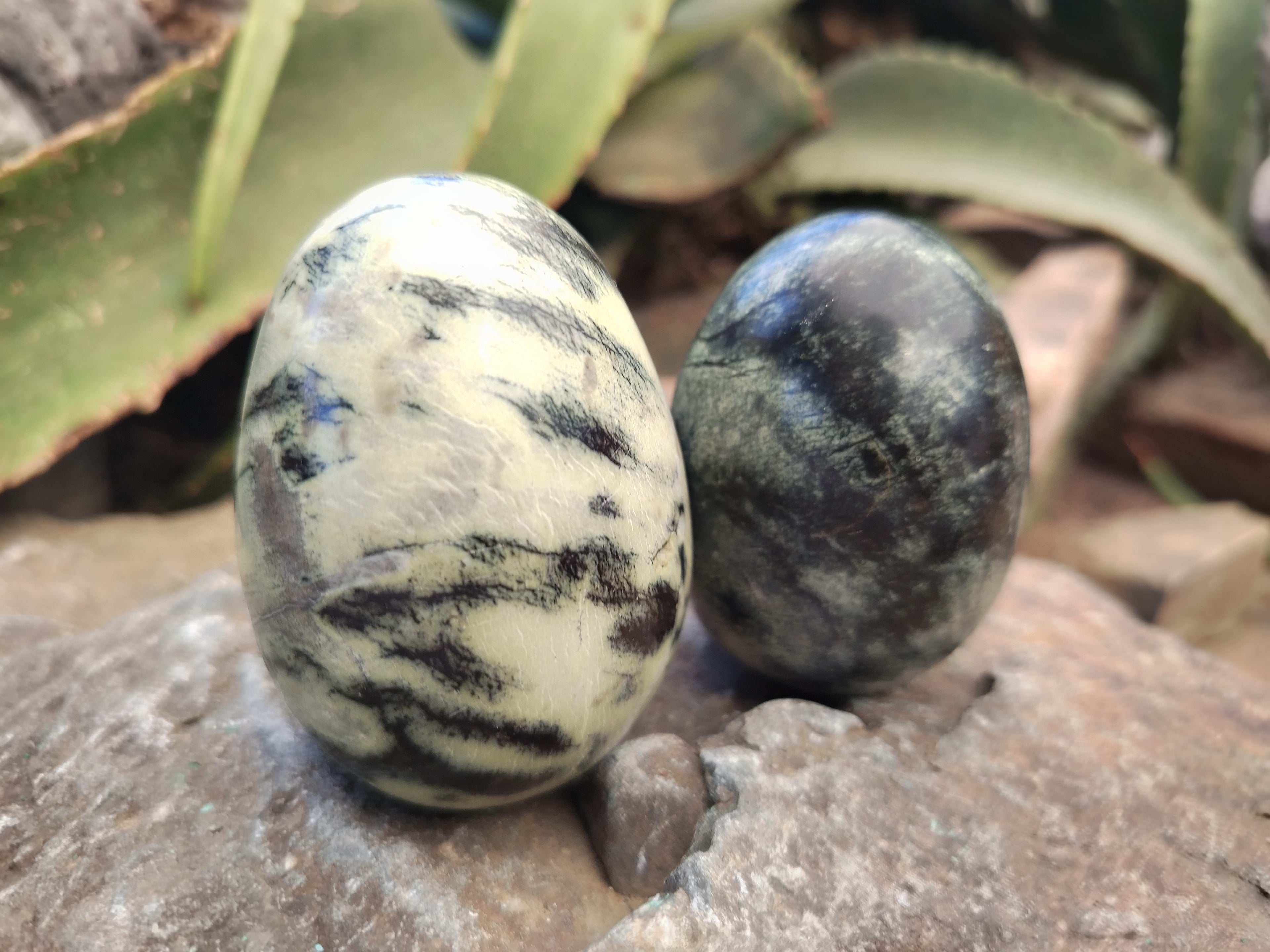 Polished Leopard Stone Eggs x 12 From Nyanga, Zimbabwe - Toprock Gemstones and Minerals 