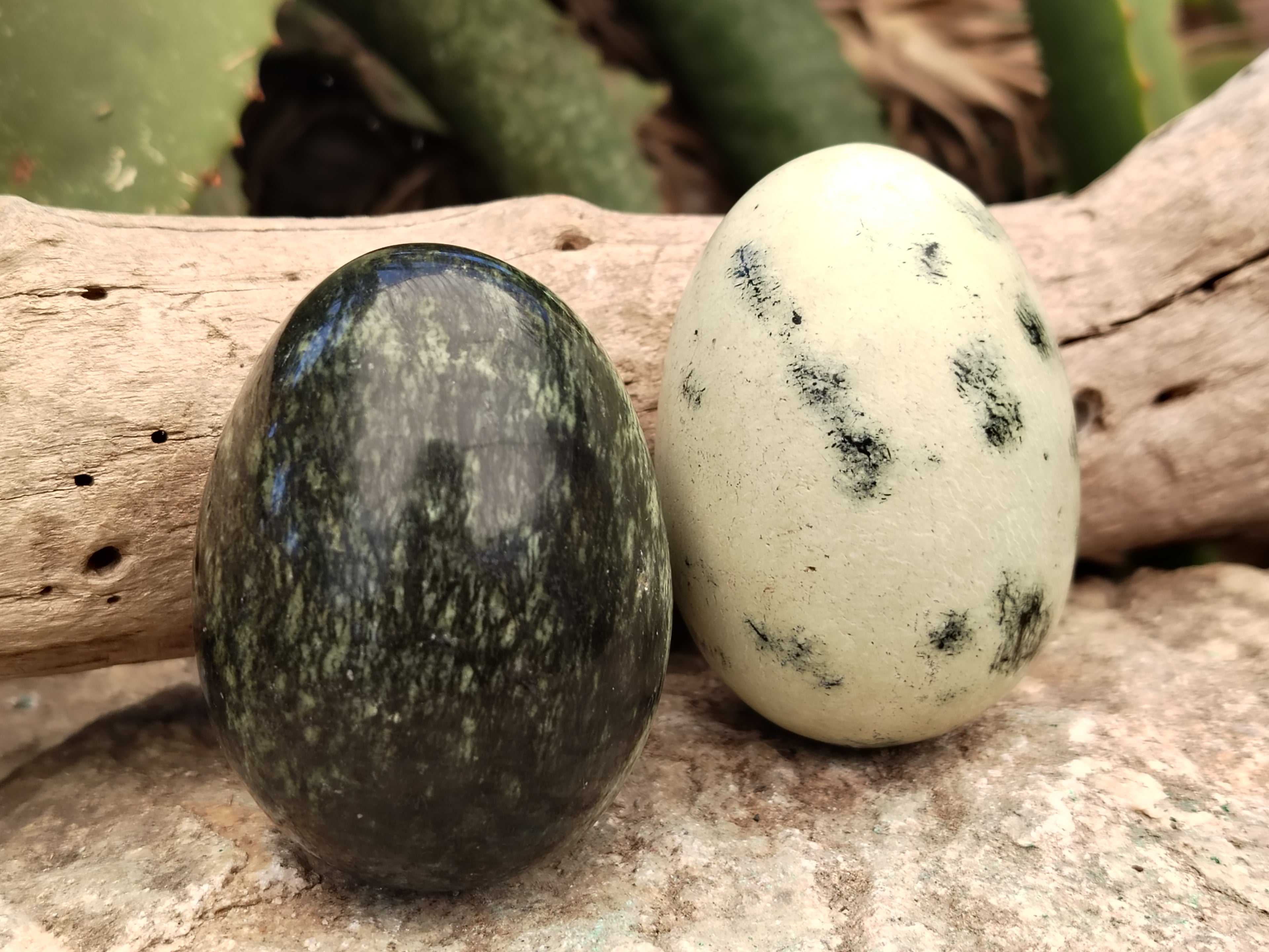 Polished Leopard Stone Eggs x 12 From Nyanga, Zimbabwe - Toprock Gemstones and Minerals 