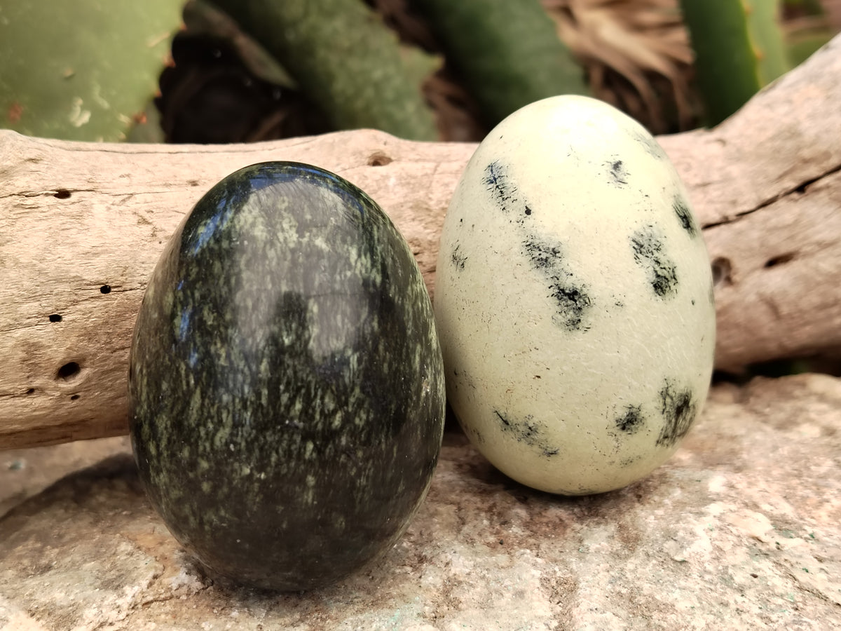 Polished Leopard Stone Eggs x 12 From Nyanga, Zimbabwe - Toprock Gemstones and Minerals 