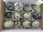 Polished Leopard Stone Eggs x 12 From Nyanga, Zimbabwe - Toprock Gemstones and Minerals 