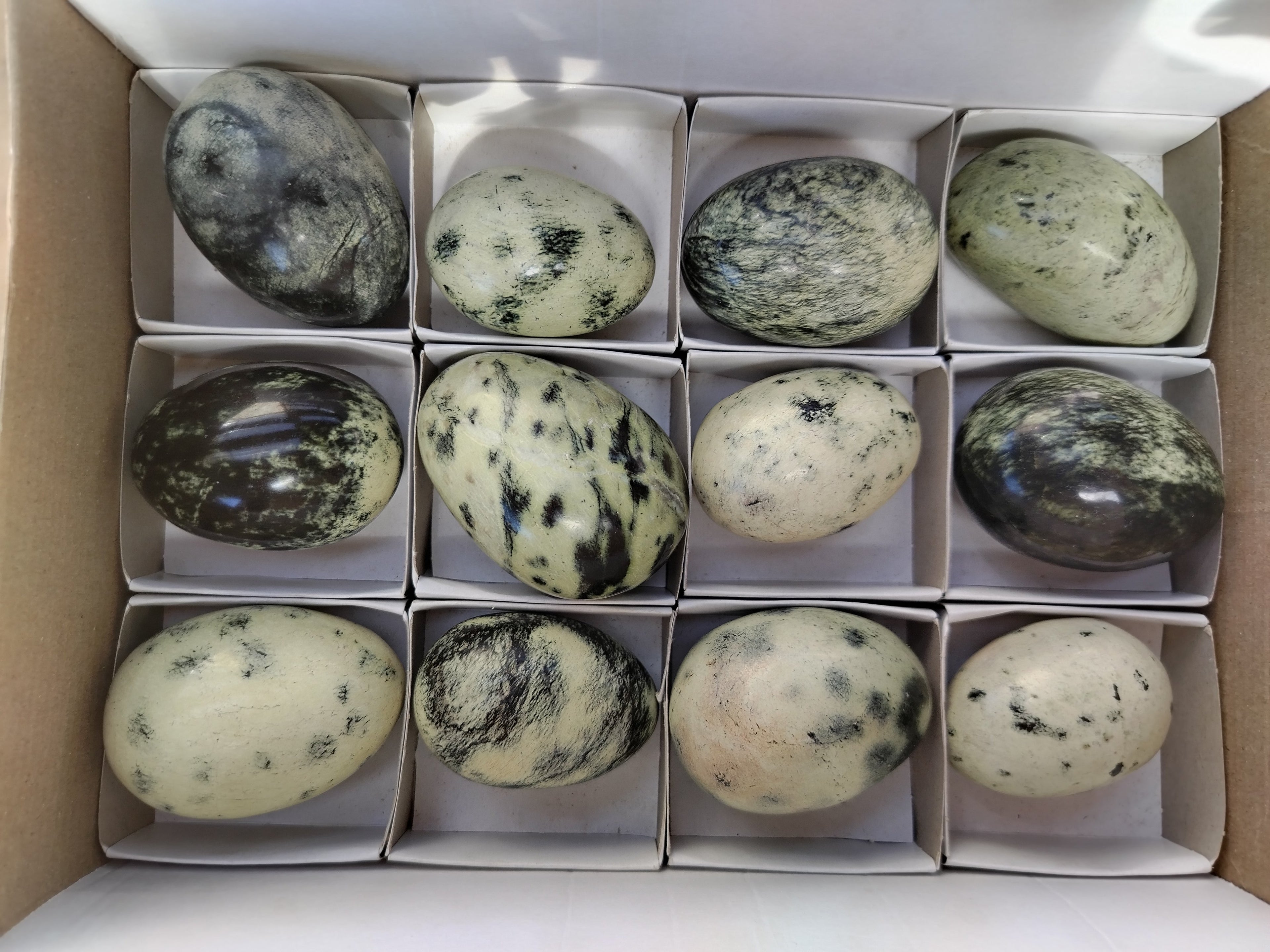 Polished Leopard Stone Eggs x 12 From Nyanga, Zimbabwe - Toprock Gemstones and Minerals 