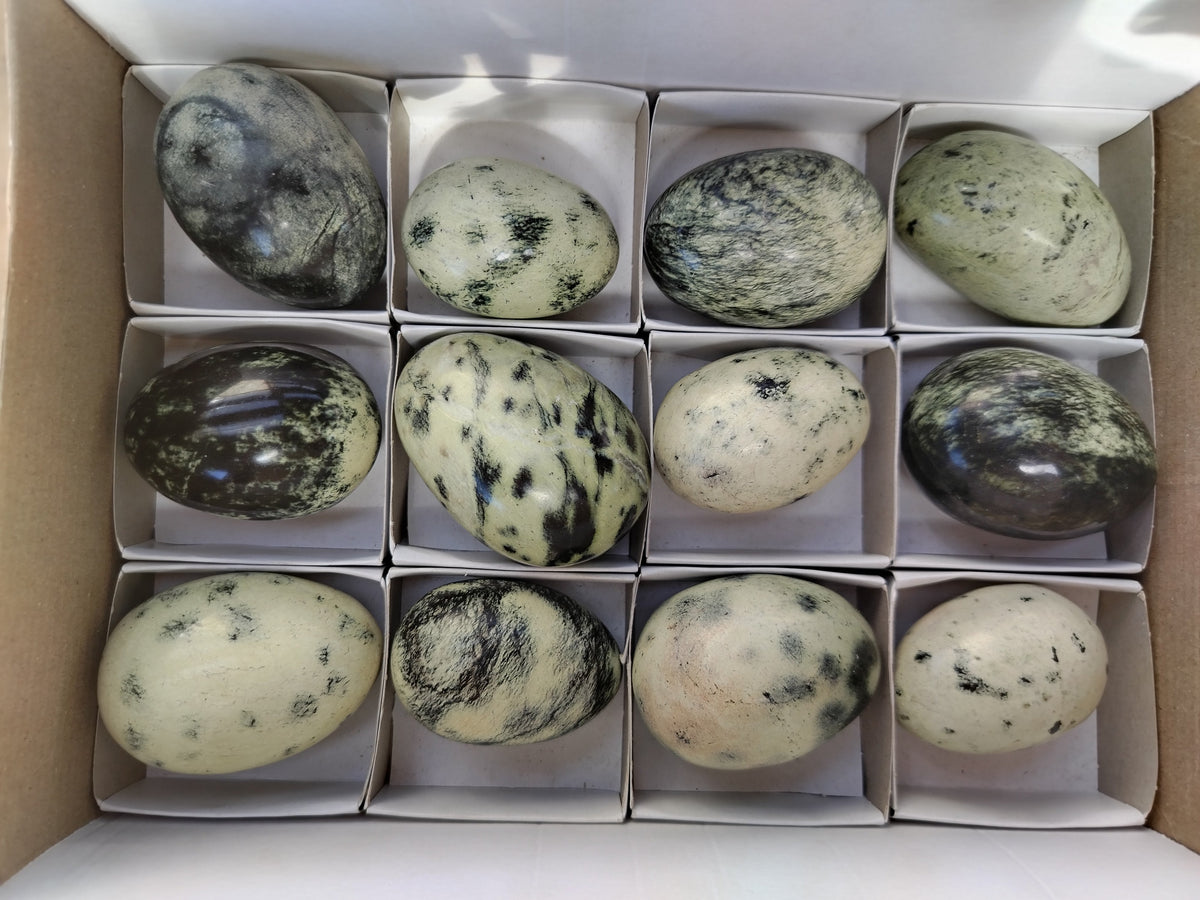 Polished Leopard Stone Eggs x 12 From Nyanga, Zimbabwe - Toprock Gemstones and Minerals 
