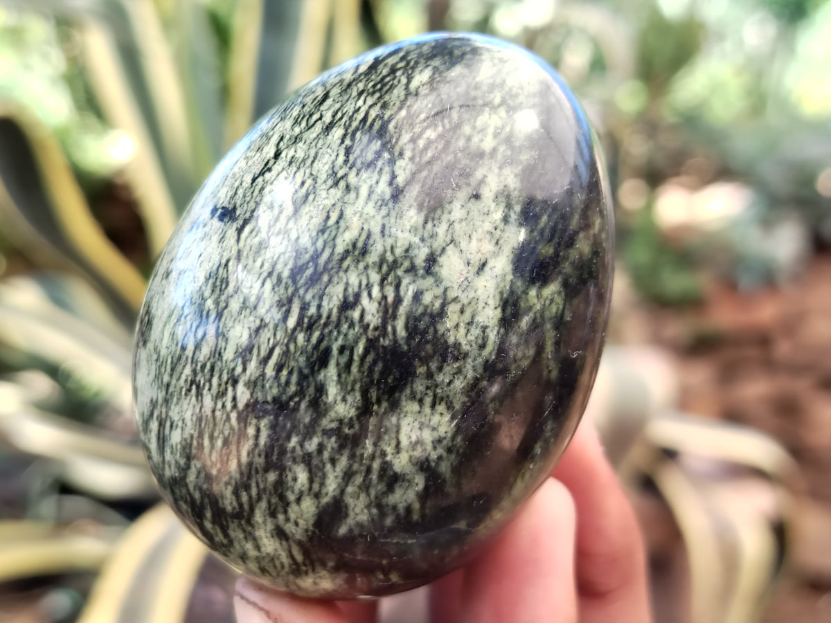 Polished Leopard Stone Eggs x 12 From Nyanga, Zimbabwe - Toprock Gemstones and Minerals 