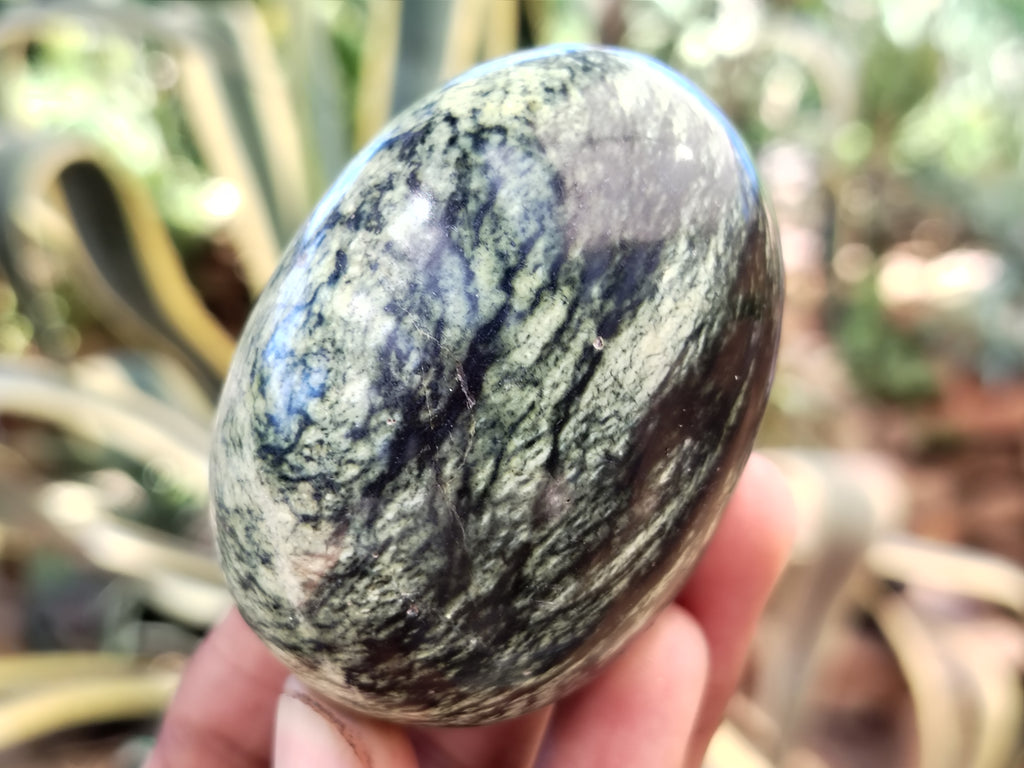 Polished Leopard Stone Eggs x 12 From Nyanga, Zimbabwe - Toprock Gemstones and Minerals 