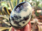 Polished Leopard Stone Eggs x 12 From Nyanga, Zimbabwe - Toprock Gemstones and Minerals 