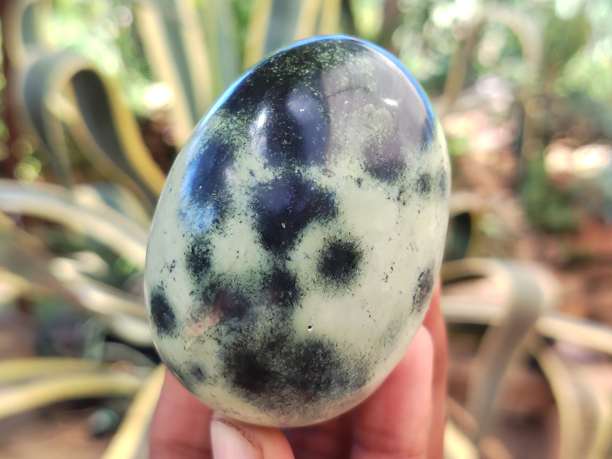 Polished Leopard Stone Eggs x 12 From Nyanga, Zimbabwe - Toprock Gemstones and Minerals 