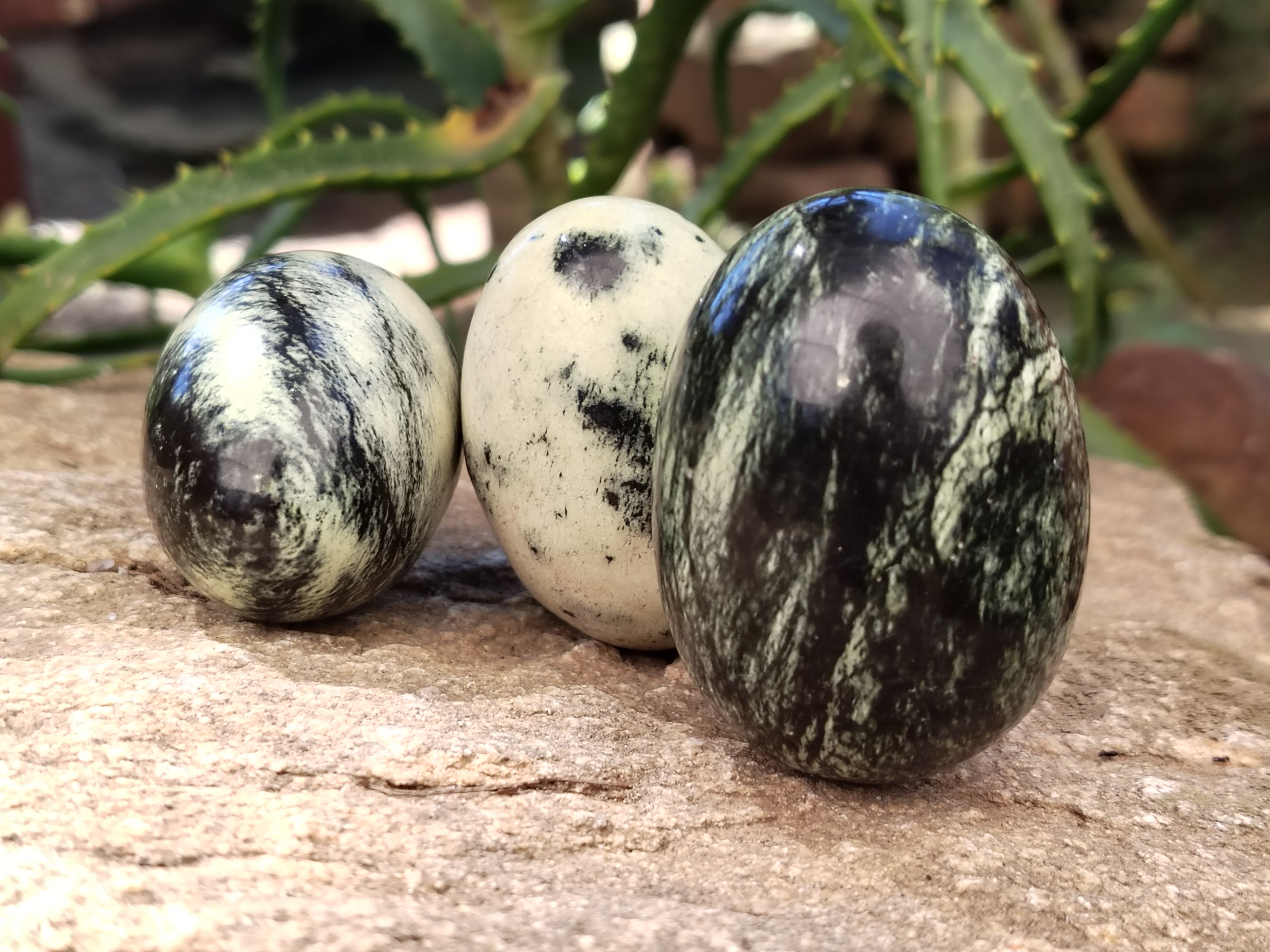 Polished Leopard Stone Eggs x 12 From Nyanga, Zimbabwe - Toprock Gemstones and Minerals 