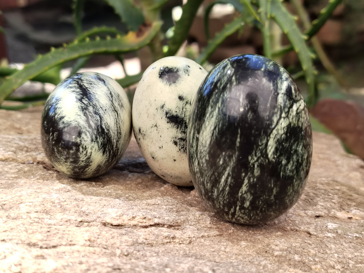 Polished Leopard Stone Eggs x 12 From Nyanga, Zimbabwe - Toprock Gemstones and Minerals 