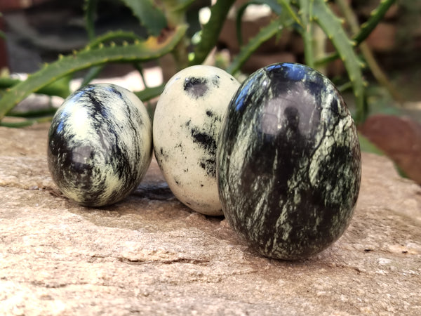 Polished Leopard Stone Eggs x 12 From Nyanga, Zimbabwe