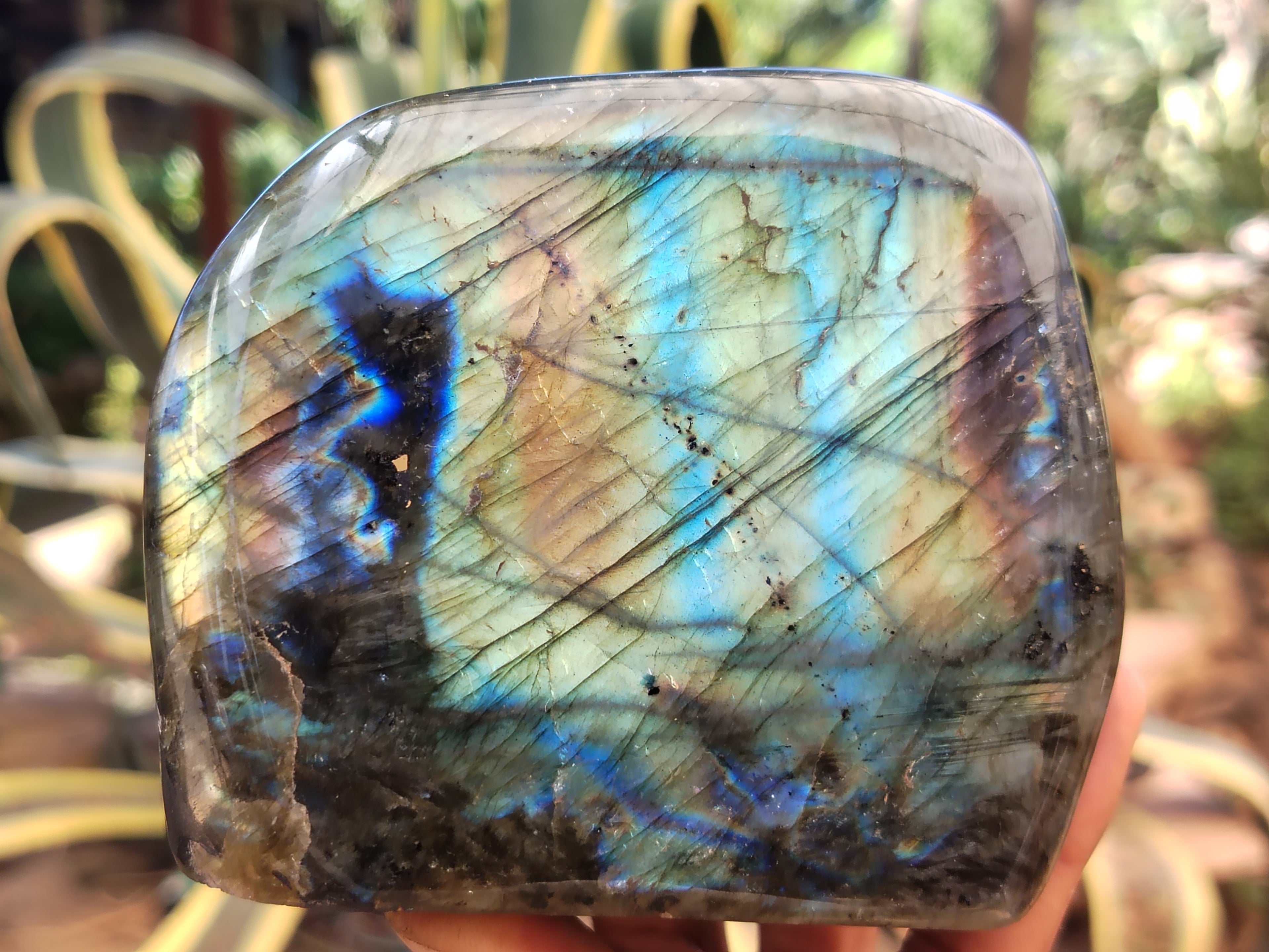 Polished Labradorite Standing Free Forms x 2 From Tulear, Madagascar - Toprock Gemstones and Minerals 