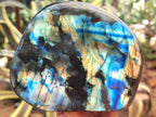 Polished Labradorite Standing Free Forms x 2 From Tulear, Madagascar - Toprock Gemstones and Minerals 