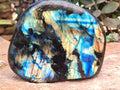 Polished Labradorite Standing Free Forms x 2 From Tulear, Madagascar - Toprock Gemstones and Minerals 