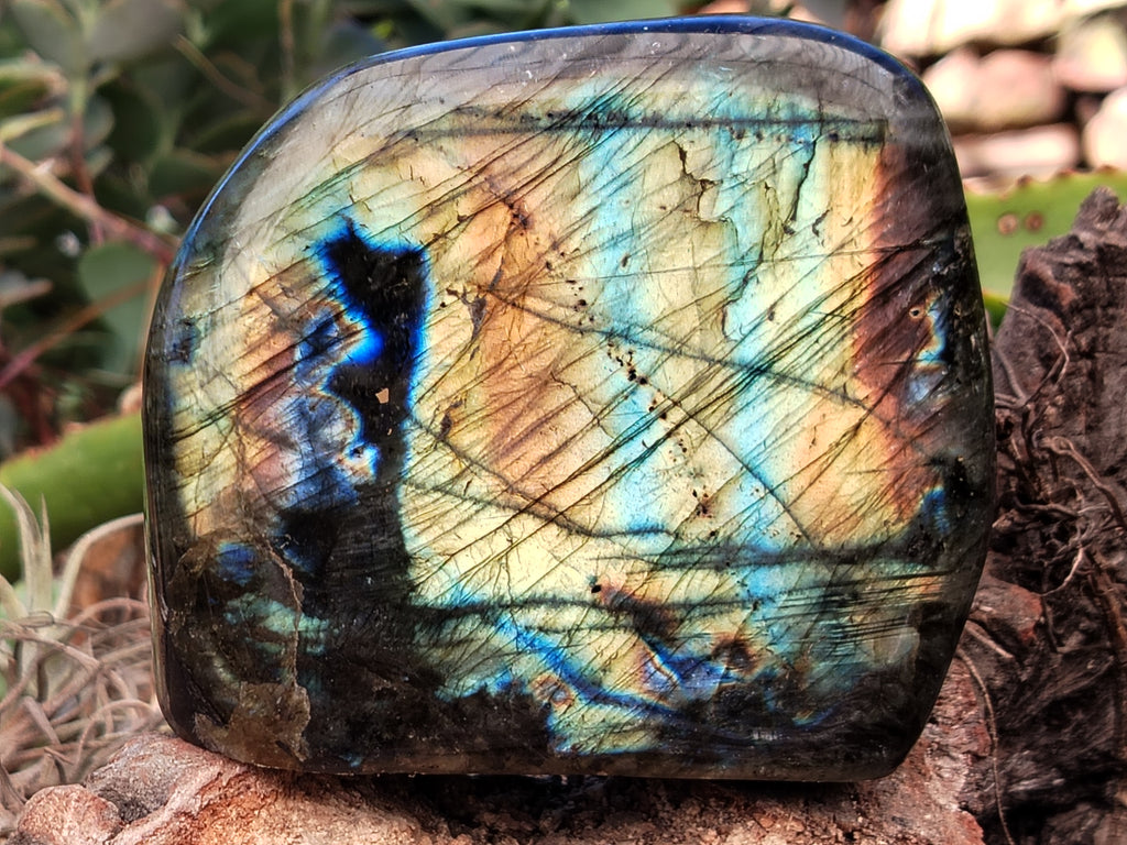Polished Labradorite Standing Free Forms x 2 From Tulear, Madagascar - Toprock Gemstones and Minerals 