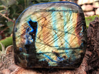 Polished Labradorite Standing Free Forms x 2 From Tulear, Madagascar - Toprock Gemstones and Minerals 