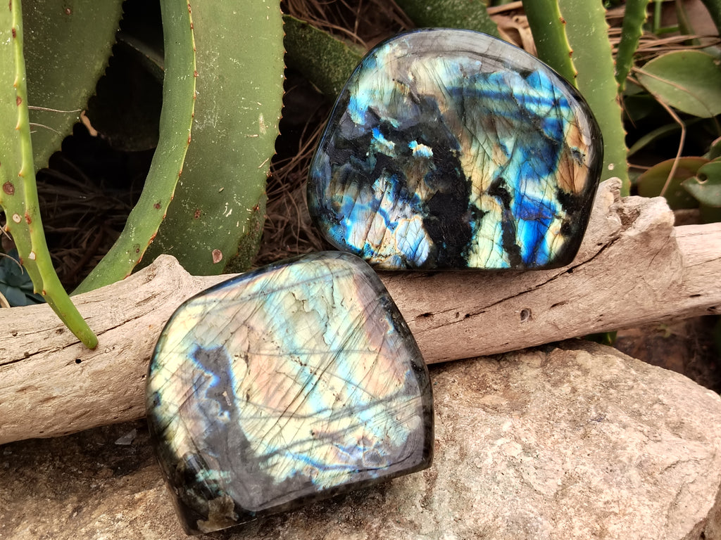 Polished Labradorite Standing Free Forms x 2 From Tulear, Madagascar - Toprock Gemstones and Minerals 