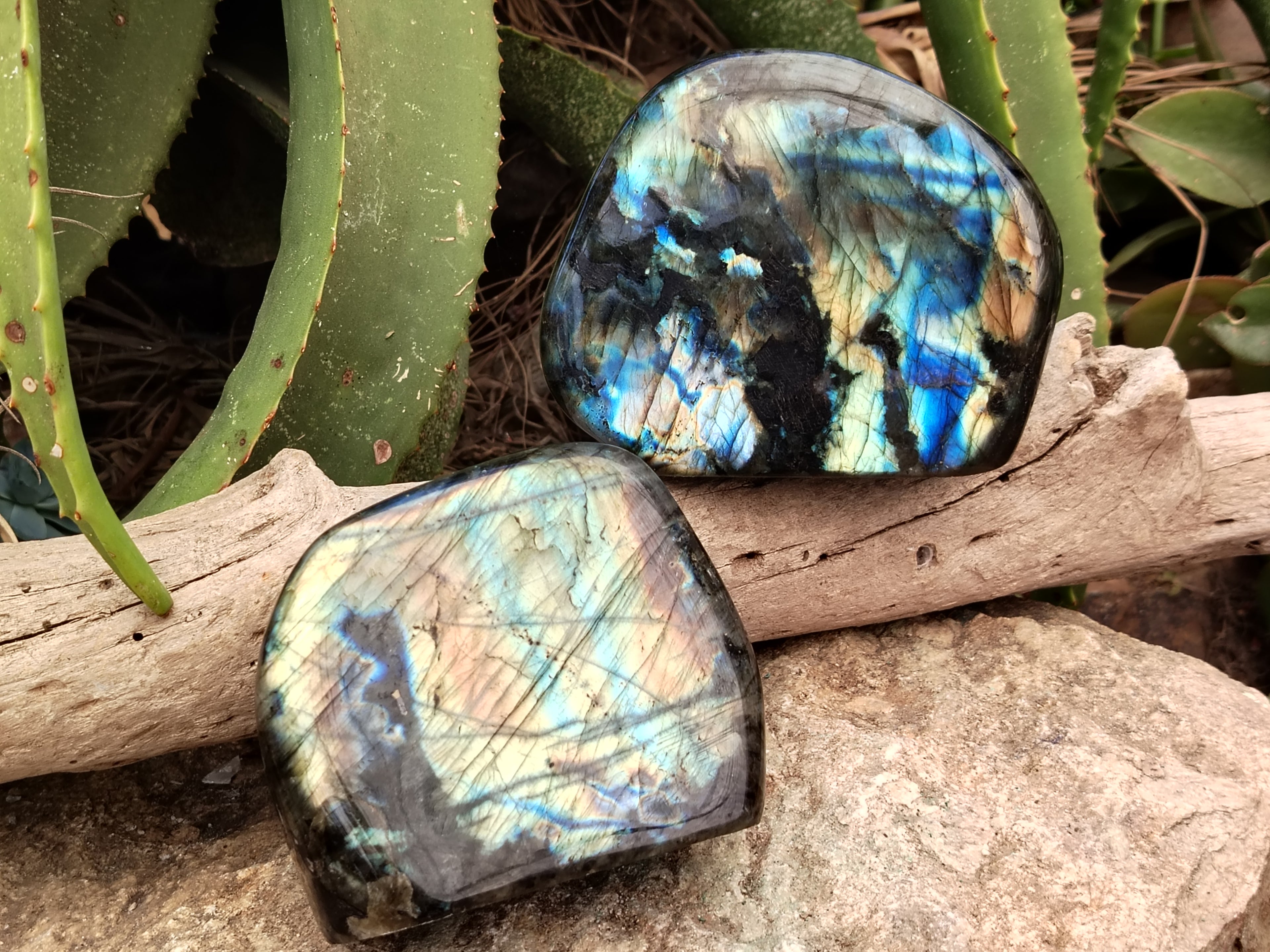 Polished Labradorite Standing Free Forms x 2 From Tulear, Madagascar - Toprock Gemstones and Minerals 