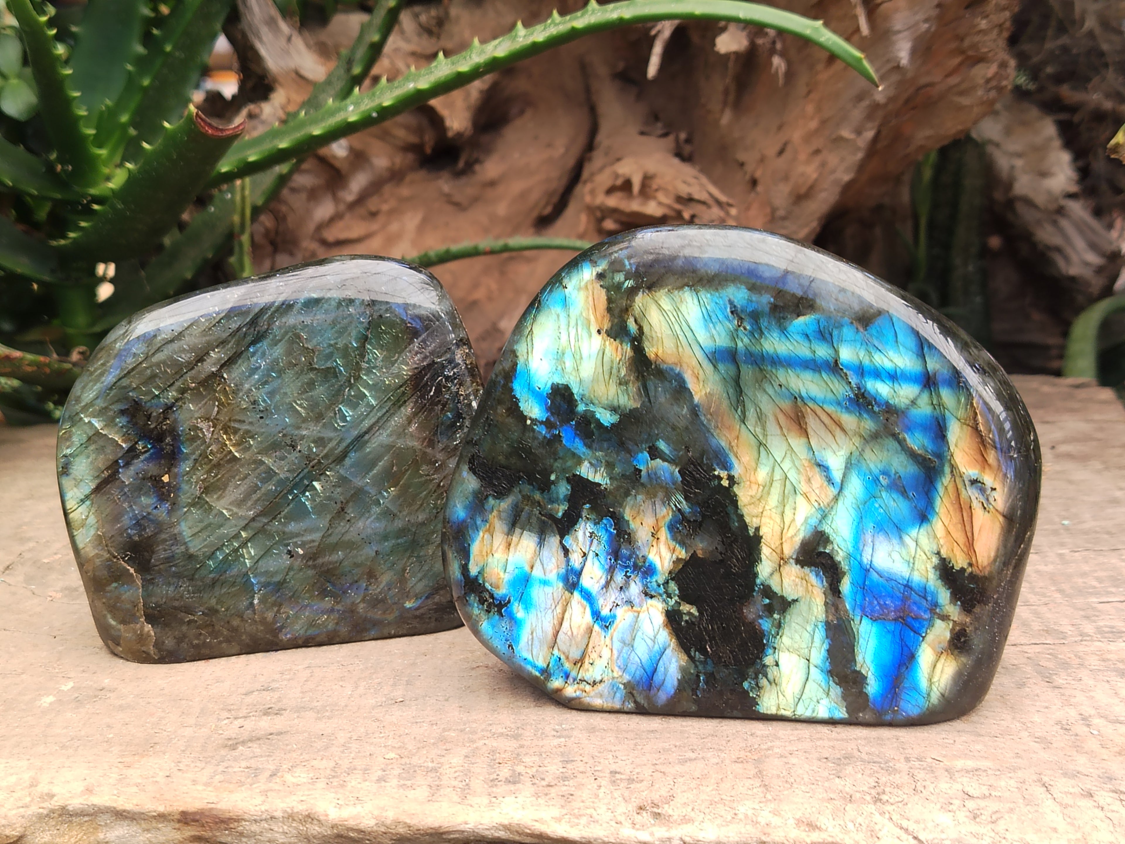 Polished Labradorite Standing Free Forms x 2 From Tulear, Madagascar - Toprock Gemstones and Minerals 