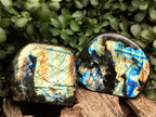 Polished Labradorite Standing Free Forms x 2 From Tulear, Madagascar - Toprock Gemstones and Minerals 