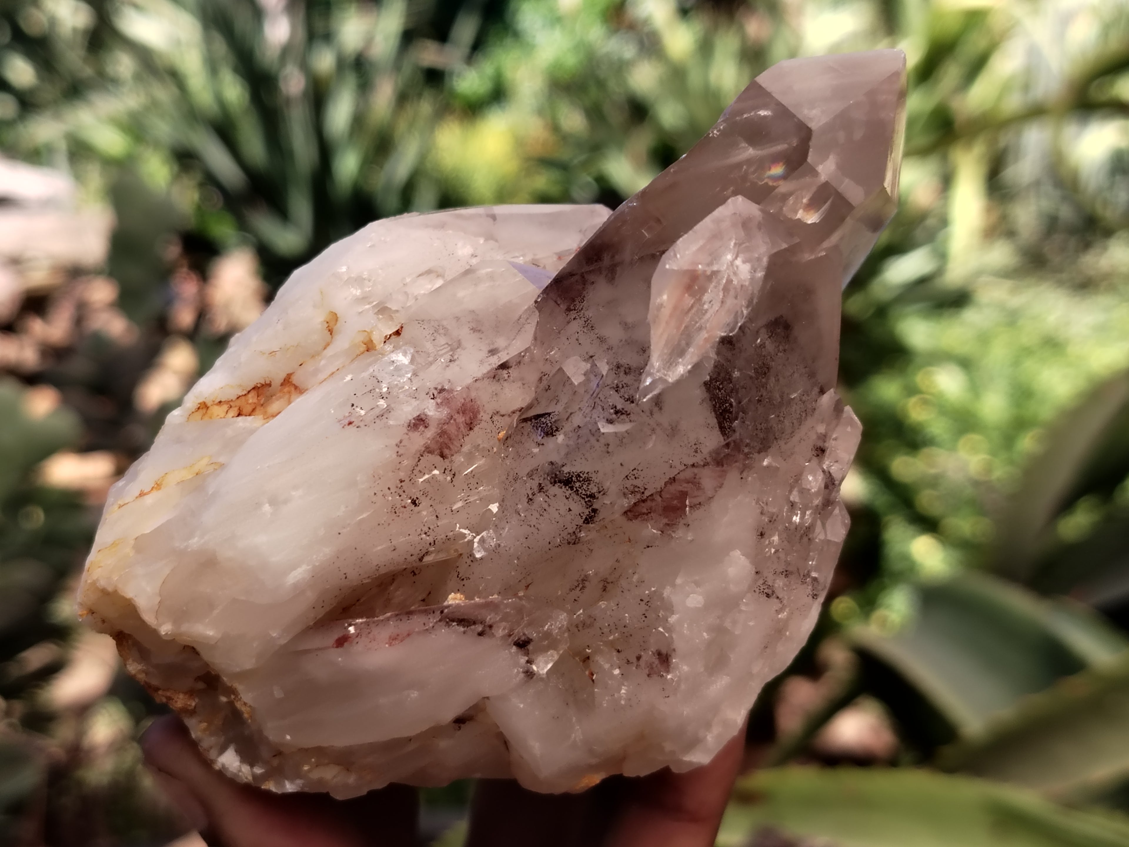 Natural Red Hematoid Quartz Clusters x 6 From Karoi, Zimbabwe - Toprock Gemstones and Minerals 