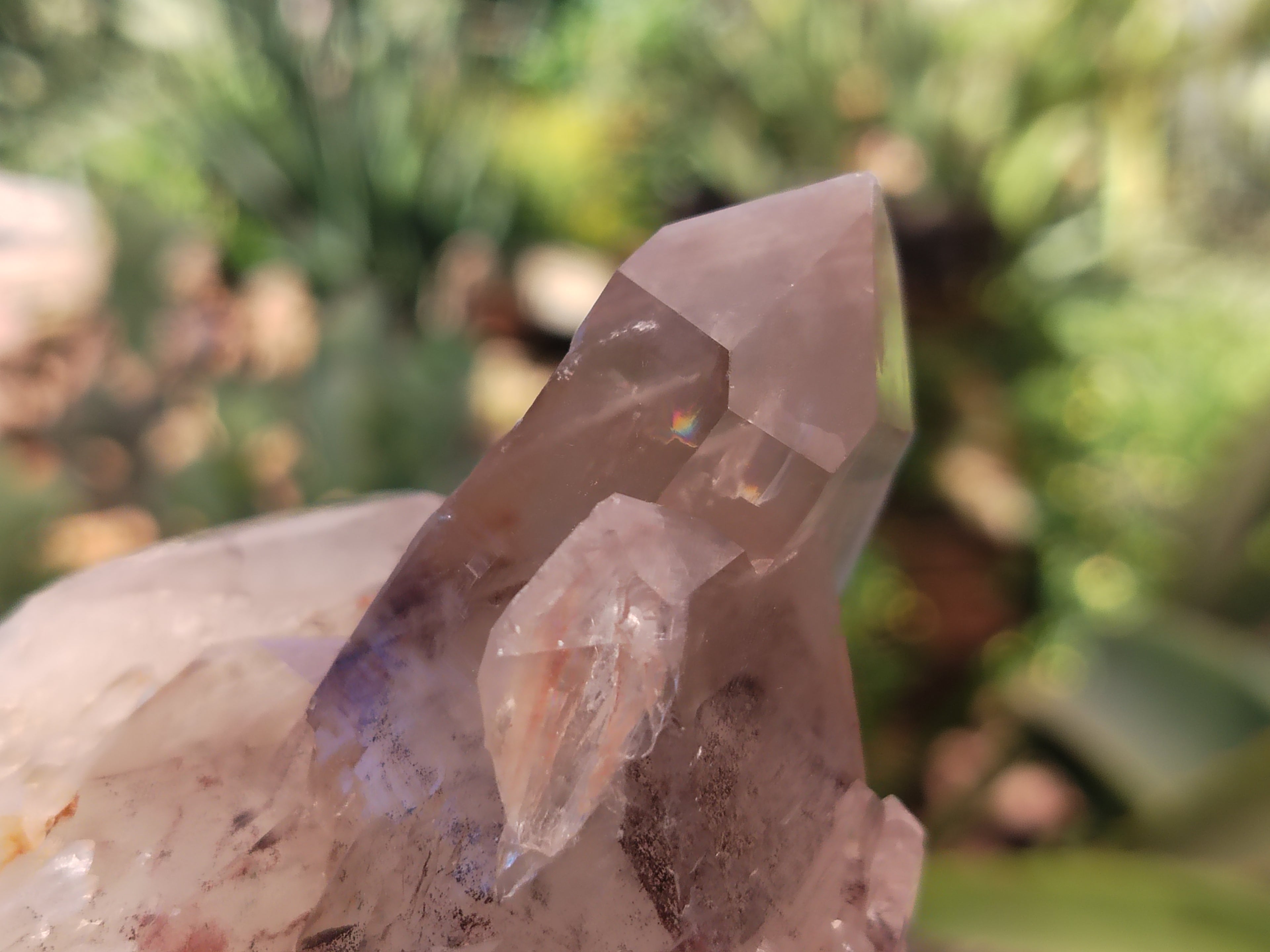 Natural Red Hematoid Quartz Clusters x 6 From Karoi, Zimbabwe - Toprock Gemstones and Minerals 