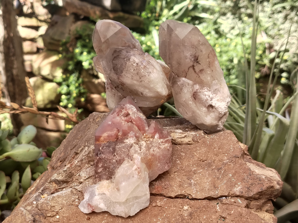 Natural Red Hematoid Quartz Clusters x 6 From Karoi, Zimbabwe - Toprock Gemstones and Minerals 