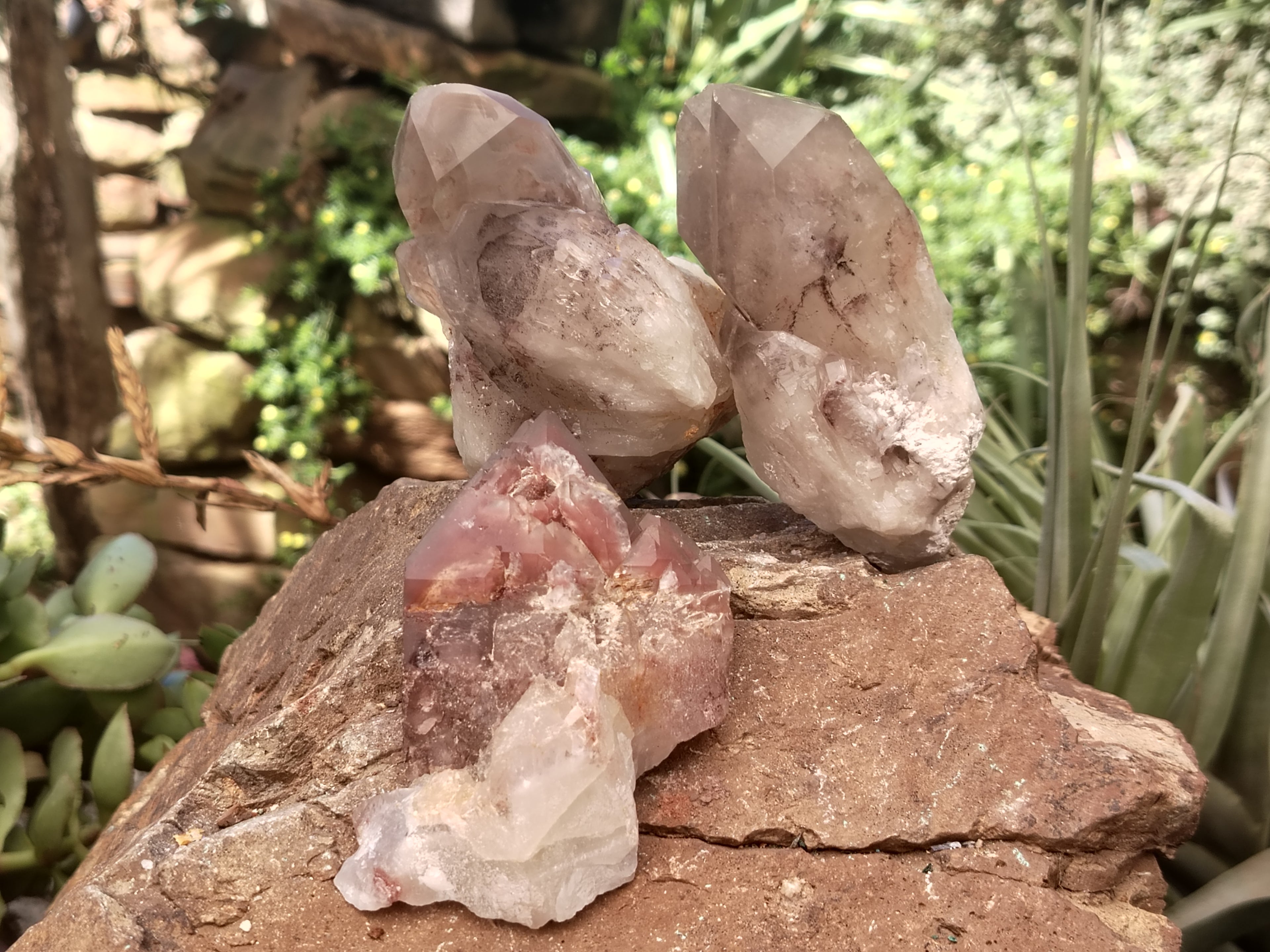 Natural Red Hematoid Quartz Clusters x 6 From Karoi, Zimbabwe - Toprock Gemstones and Minerals 
