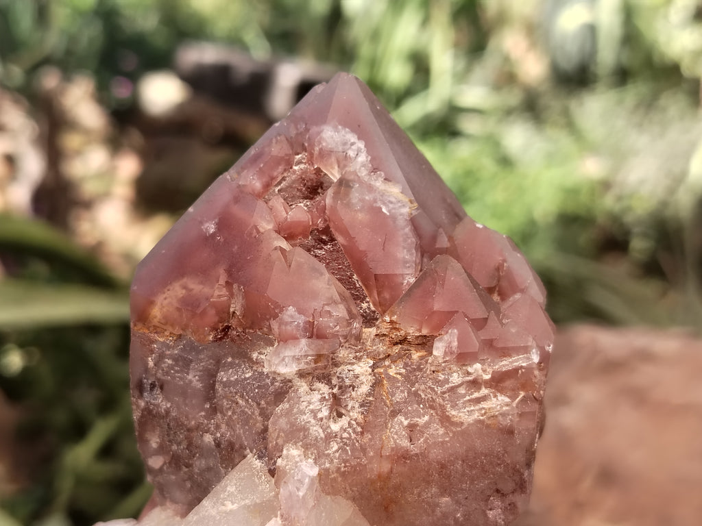 Natural Red Hematoid Quartz Clusters x 6 From Karoi, Zimbabwe - Toprock Gemstones and Minerals 