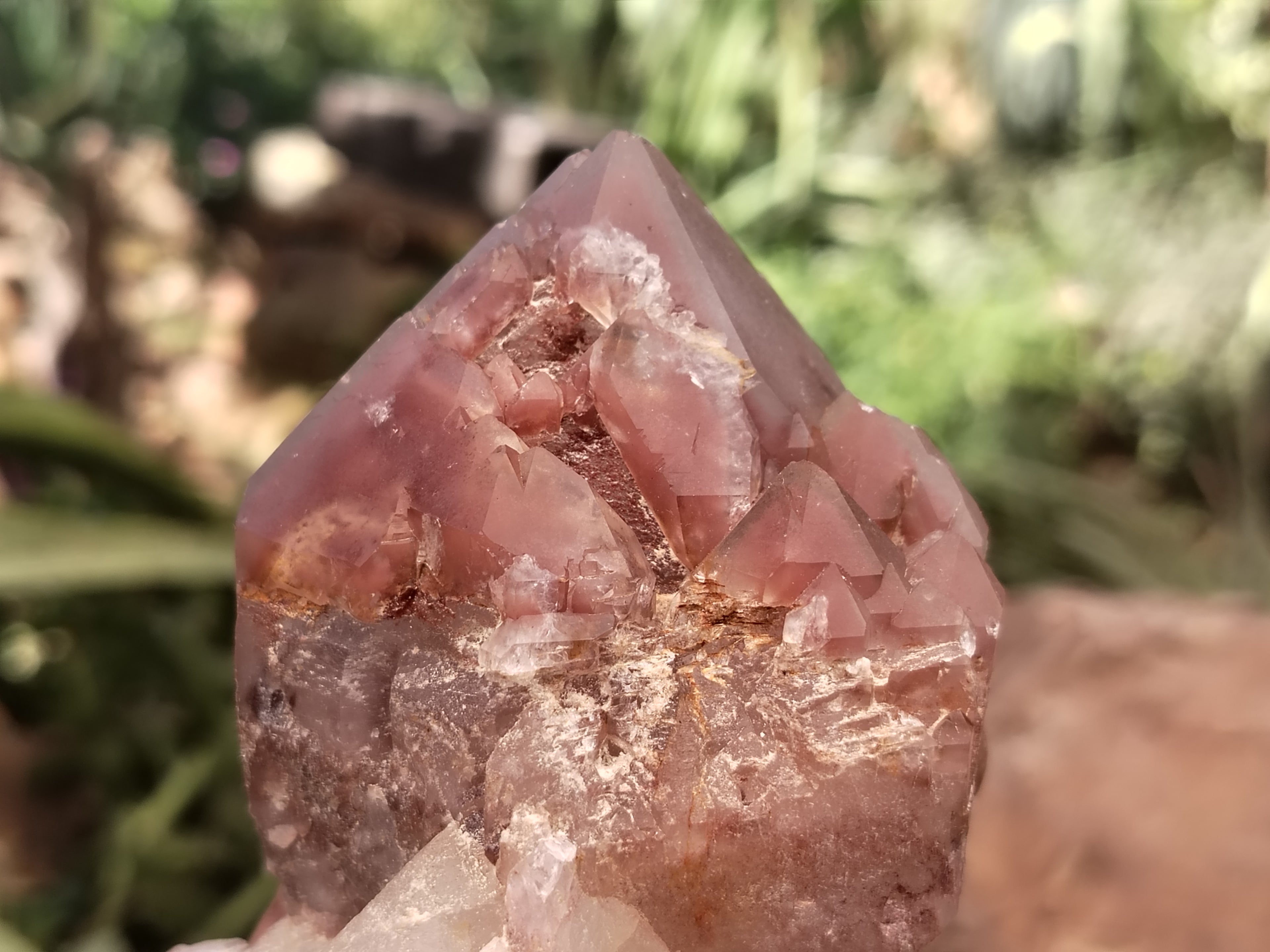 Natural Red Hematoid Quartz Clusters x 6 From Karoi, Zimbabwe - Toprock Gemstones and Minerals 