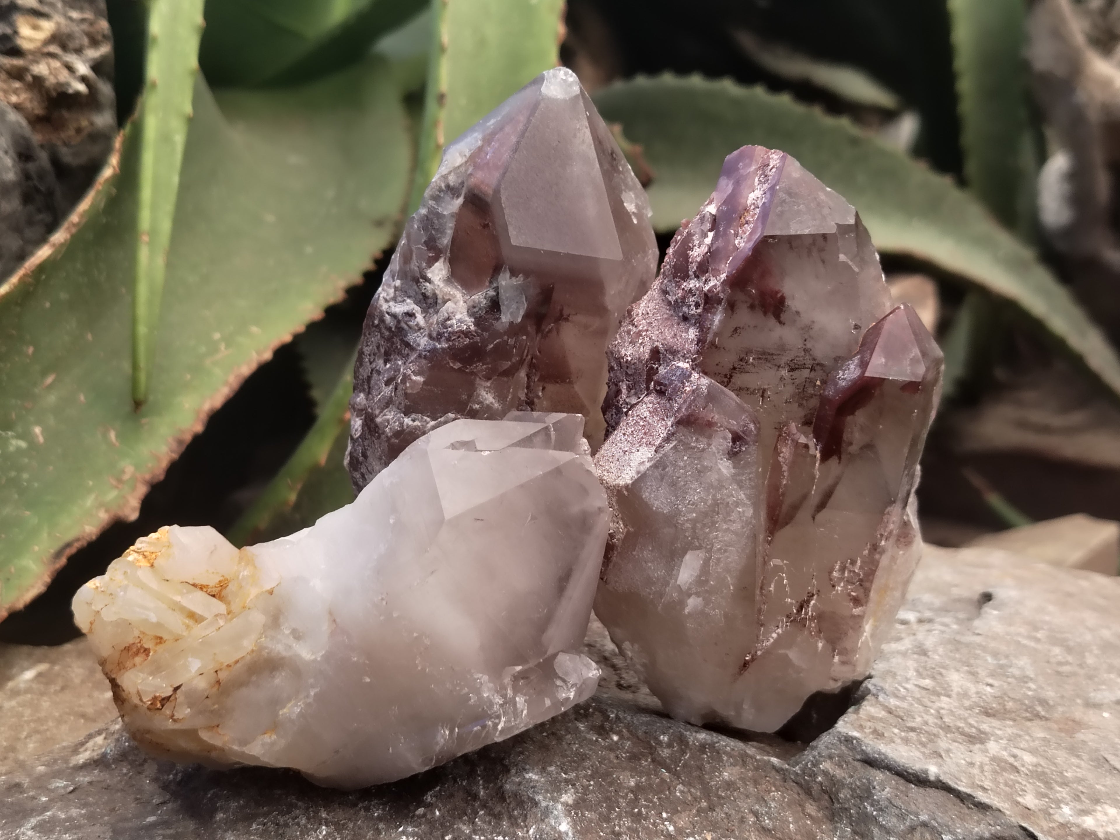 Natural Red Hematoid Quartz Clusters x 6 From Karoi, Zimbabwe - Toprock Gemstones and Minerals 