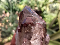 Natural Red Hematoid Quartz Clusters x 6 From Karoi, Zimbabwe - Toprock Gemstones and Minerals 