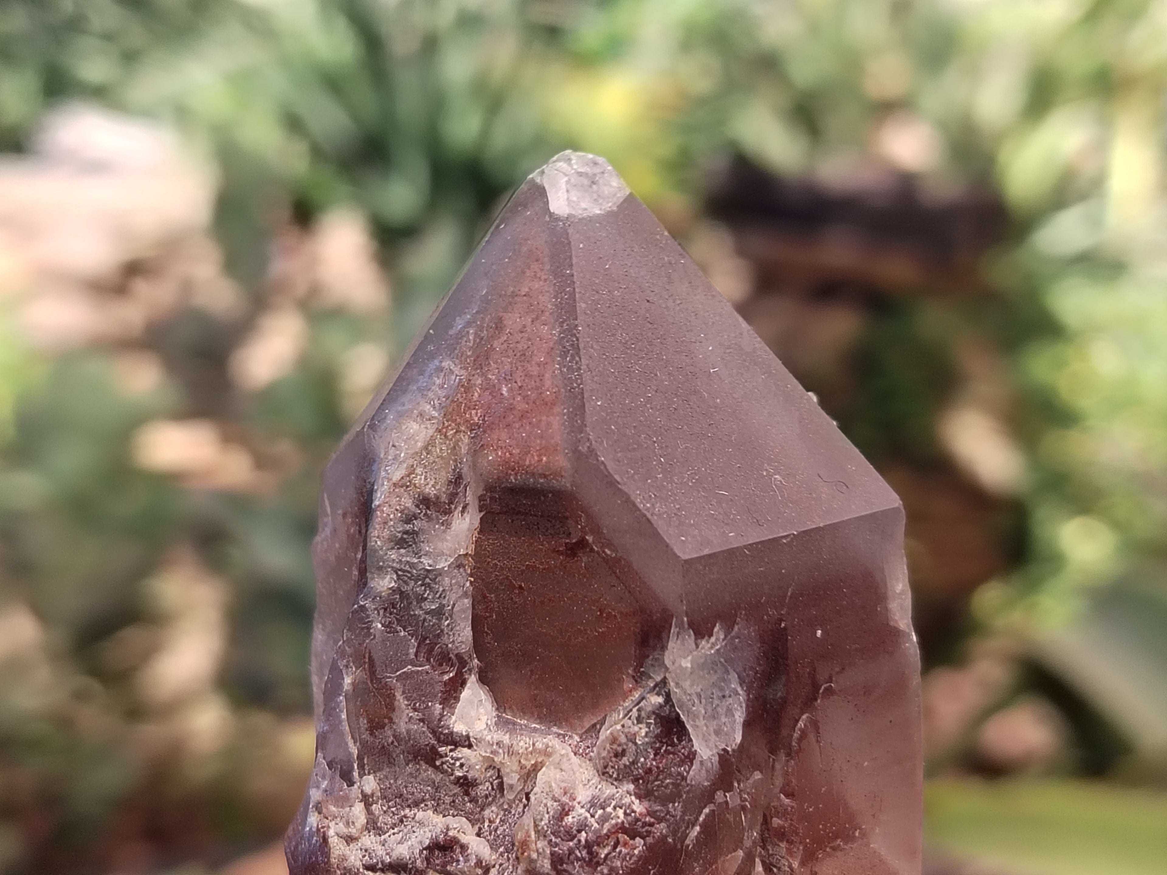 Natural Red Hematoid Quartz Clusters x 6 From Karoi, Zimbabwe - Toprock Gemstones and Minerals 