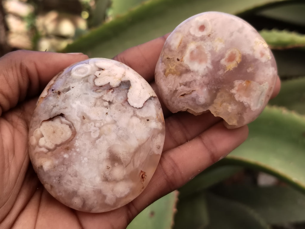 Polished Fossil Flower Agate Palm Stones x 24 From Antsahalova, Madagascar - Toprock Gemstones and Minerals 