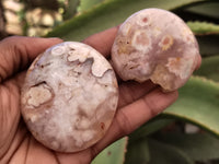 Polished Fossil Flower Agate Palm Stones x 24 From Antsahalova, Madagascar