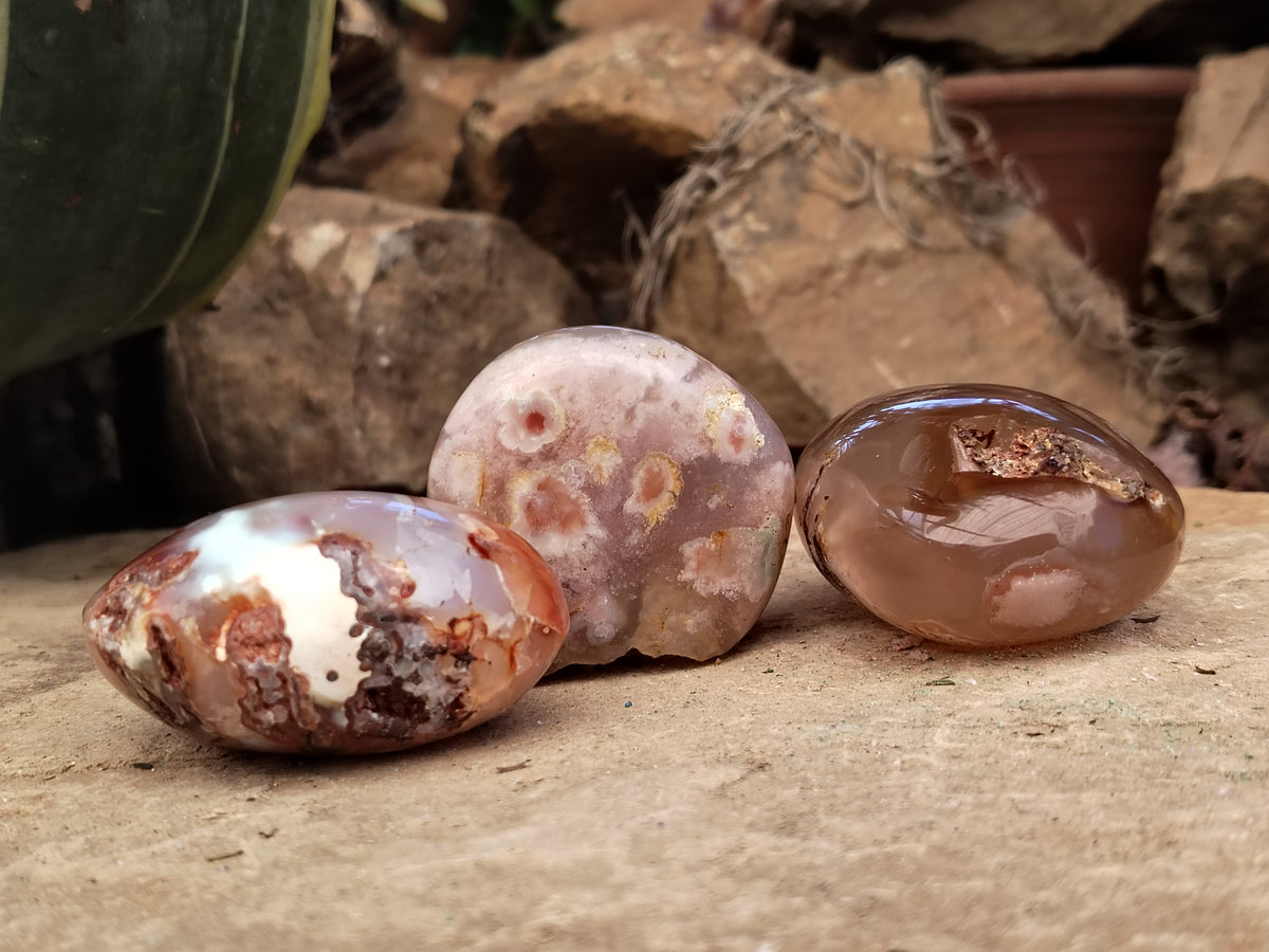 Polished Fossil Flower Agate Palm Stones x 24 From Antsahalova, Madagascar - Toprock Gemstones and Minerals 