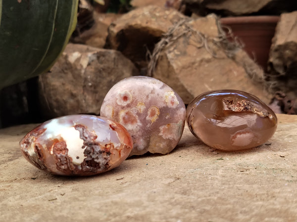 Polished Fossil Flower Agate Palm Stones x 24 From Antsahalova, Madagascar