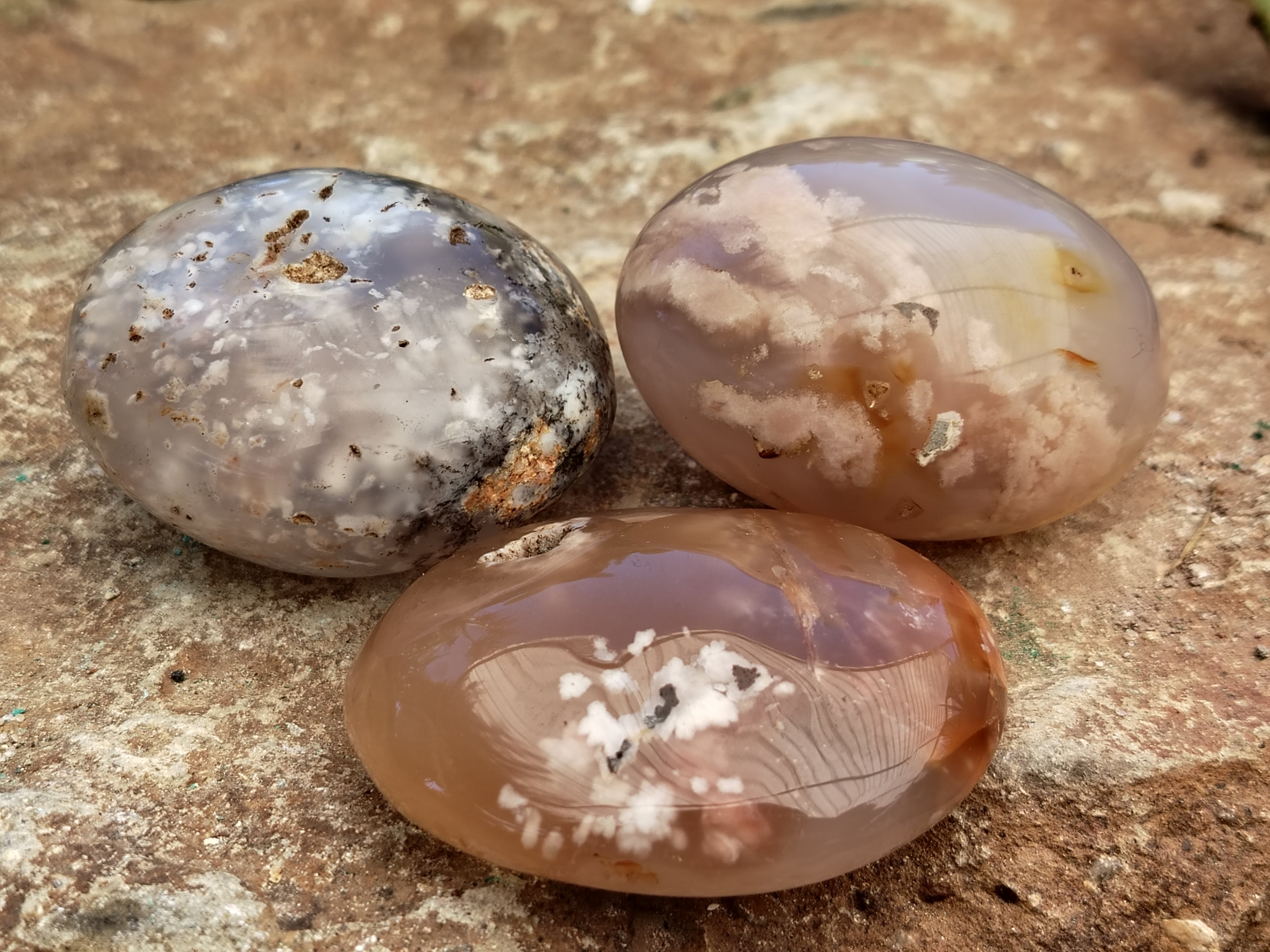 Polished Fossil Flower Agate Palm Stones x 24 From Antsahalova, Madagascar - Toprock Gemstones and Minerals 