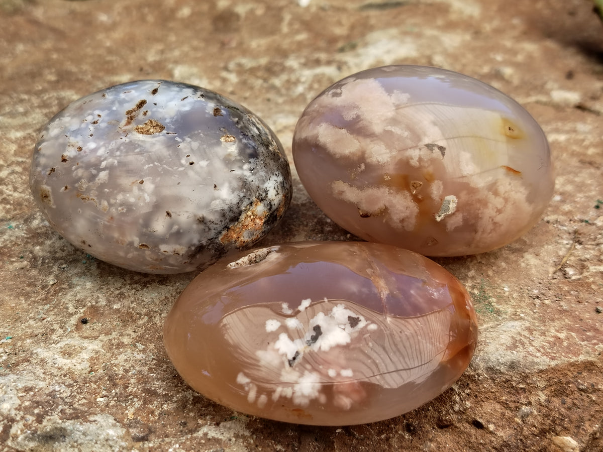 Polished Fossil Flower Agate Palm Stones x 24 From Antsahalova, Madagascar - Toprock Gemstones and Minerals 