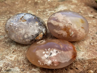 Polished Fossil Flower Agate Palm Stones x 24 From Antsahalova, Madagascar