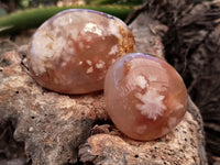 Polished Fossil Flower Agate Palm Stones x 24 From Antsahalova, Madagascar