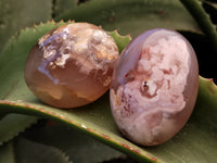 Polished Fossil Flower Agate Palm Stones x 24 From Antsahalova, Madagascar
